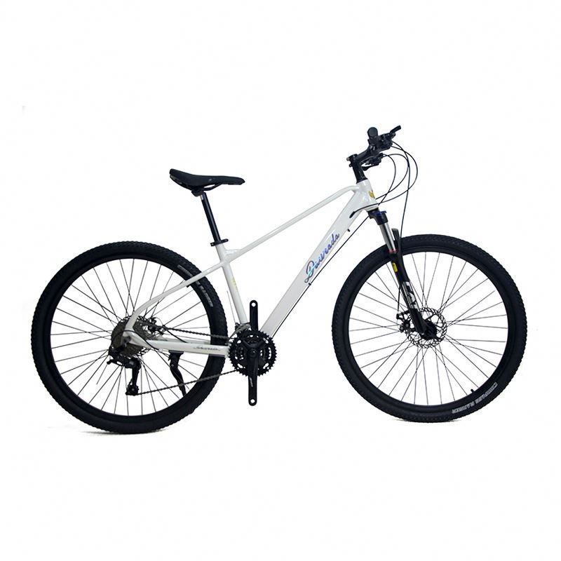 29 inch Aluminum Alloy Mountai – Mountain Biking Usa Bewertung und Preis