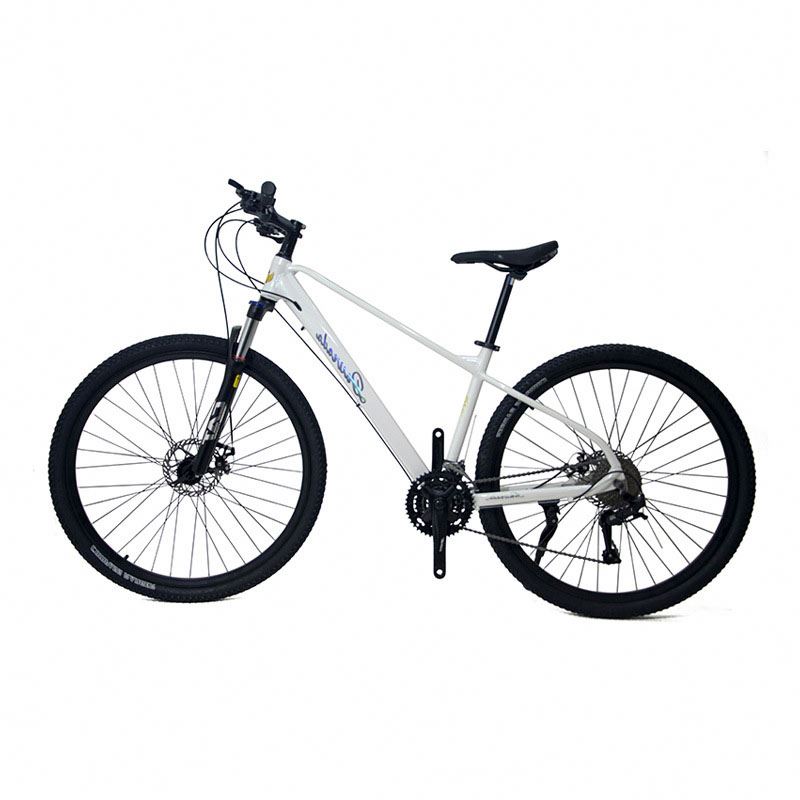29 inch Aluminum Alloy Mountai – Mountain Biking Usa Bewertung und Preis