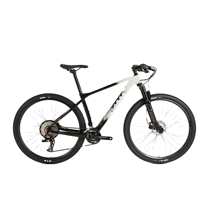 Advanced Ultra-Lightweight 29- – Mountain Biking Usa Bewertung und Preis