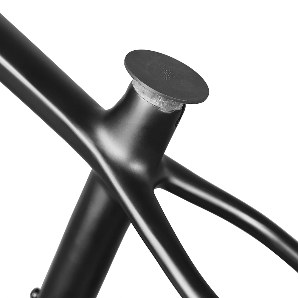 Boost-ed 148*12MM Carbon Fiber – Mountain Biking Usa Bewertung und Preis